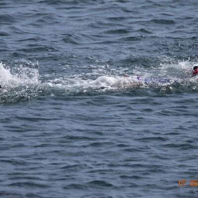 Photo 51