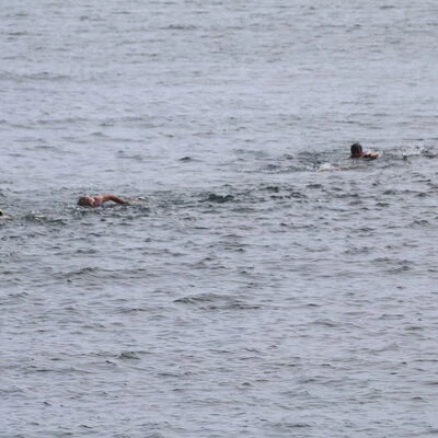 Photo 67